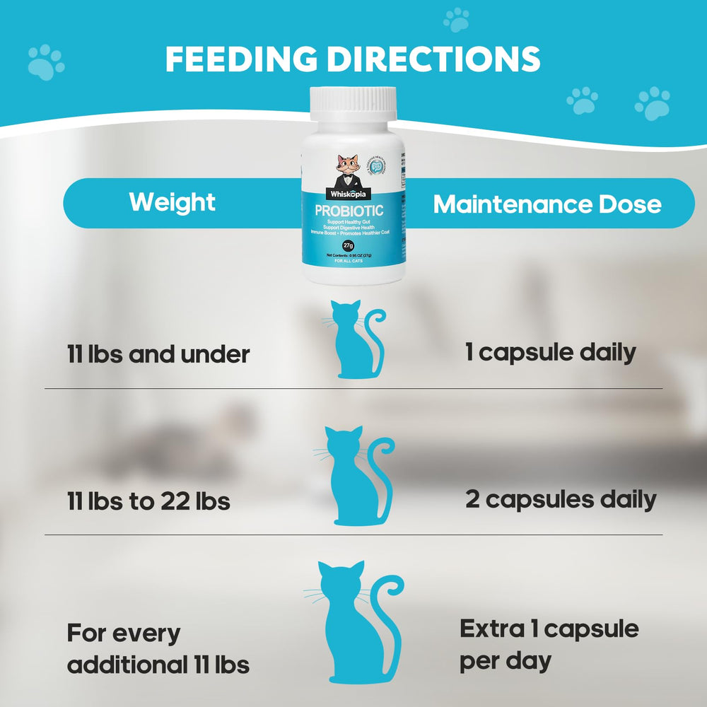 Whiskopia cat probiotic immune-lactoferrin shot highlights immune support potential.