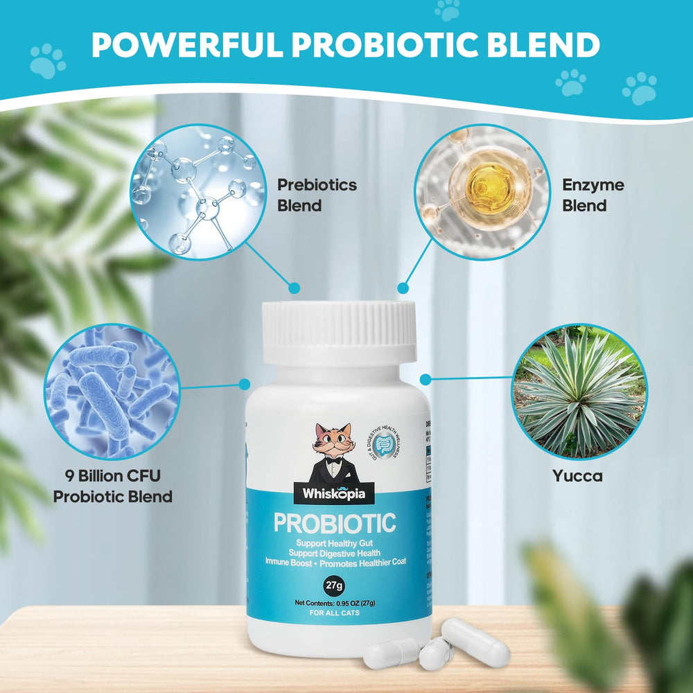 Whiskopia cat probiotic scoop dispense image shows convenient daily administration.