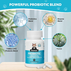 Whiskopia cat probiotic scoop dispense image shows convenient daily administration.