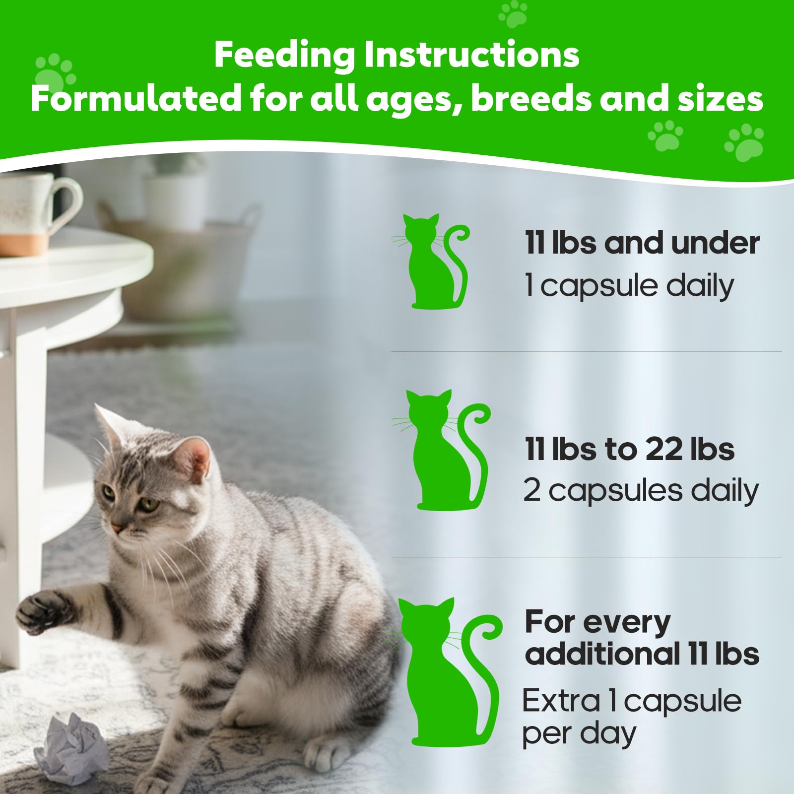 Whiskopia Hairball Relief cat-friendly serving beside bowl for daily routine