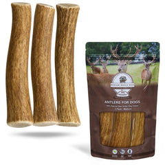 WhiteTail Naturals 3-pack medium deer antlers closeup demonstrates durable, long-lasting chew for medium dogs