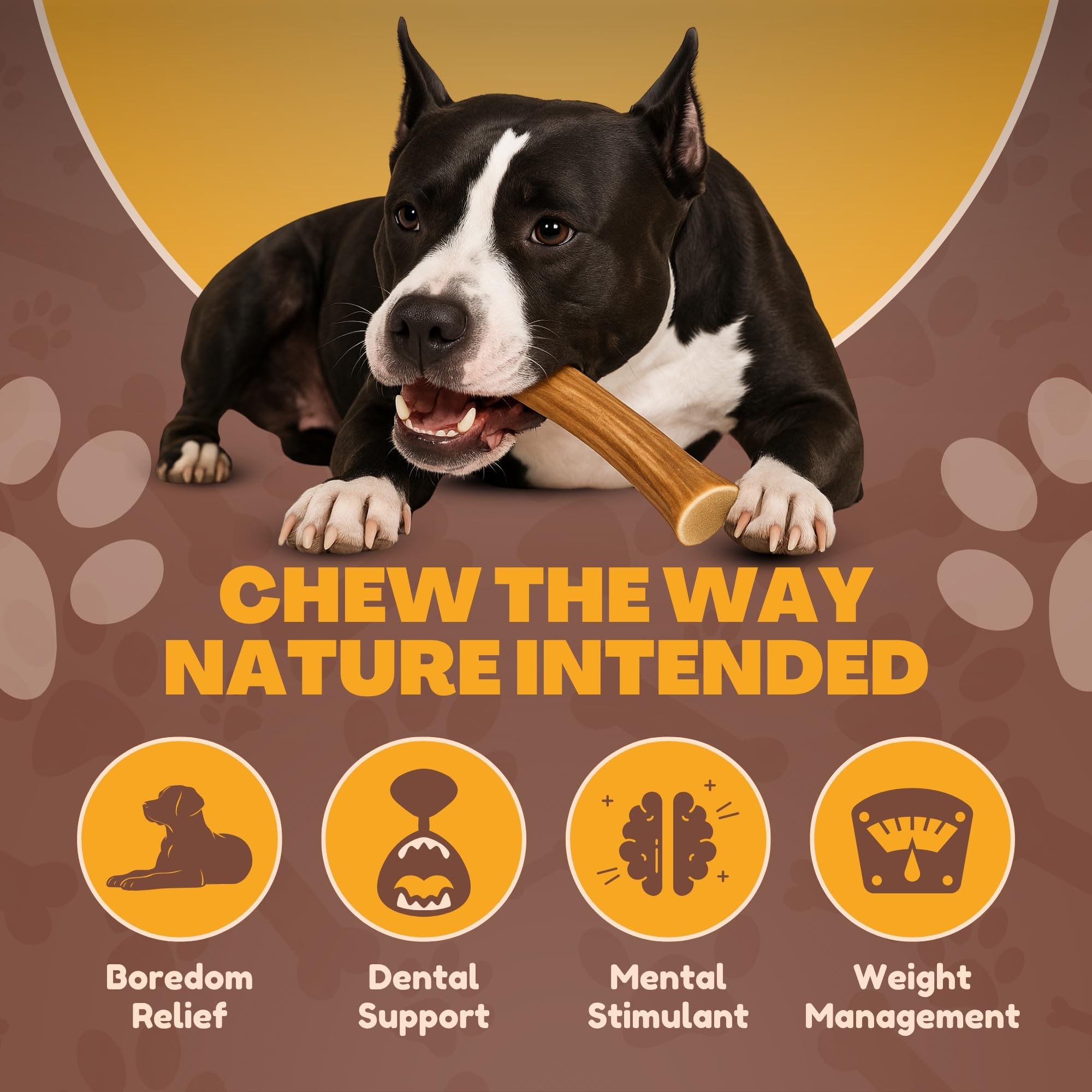 WhiteTail Naturals deer antler chews are naturally shed, American-made and cruelty-free.