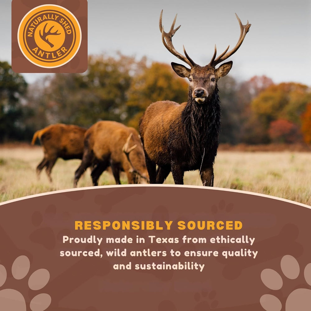 WhiteTail Naturals American-made elk antlers, cruelty-free chews for dental-friendly chewing