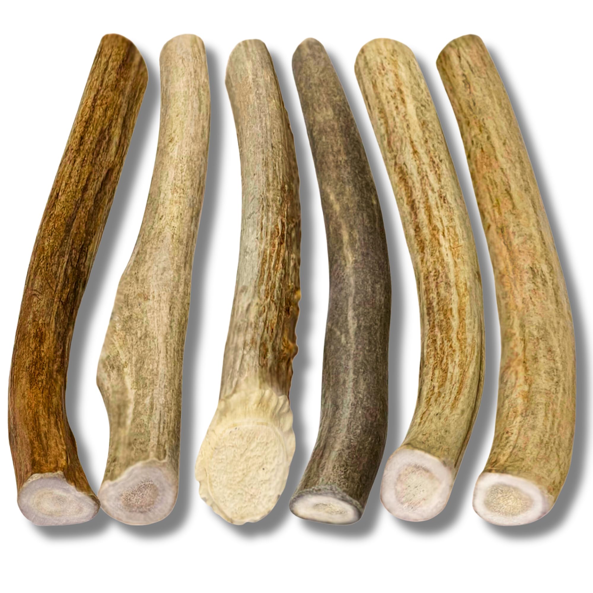 WhiteTail Naturals antlers closeup texture highlighting durable chew for puppies