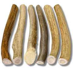 WhiteTail Naturals antlers closeup texture highlighting durable chew for puppies