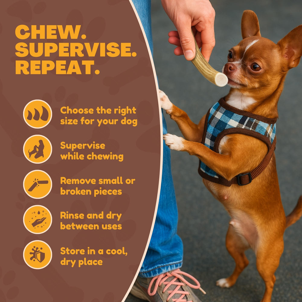 WhiteTail Naturals antlers durable chew for long-lasting play