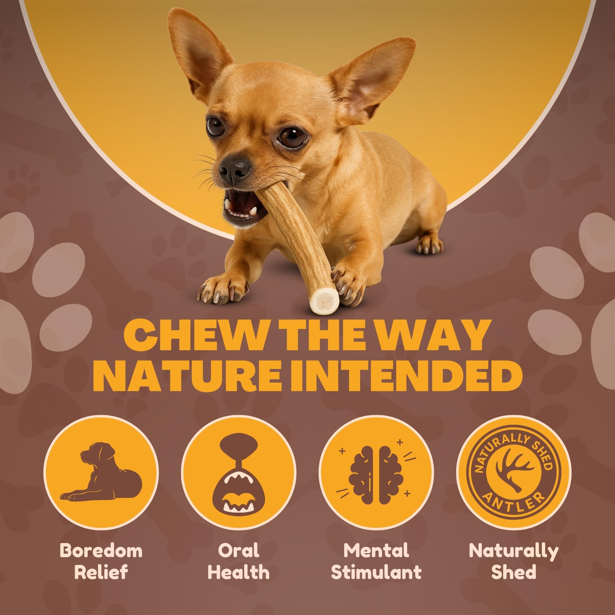 WhiteTail Naturals antlers single-ingredient chew with minimal additives