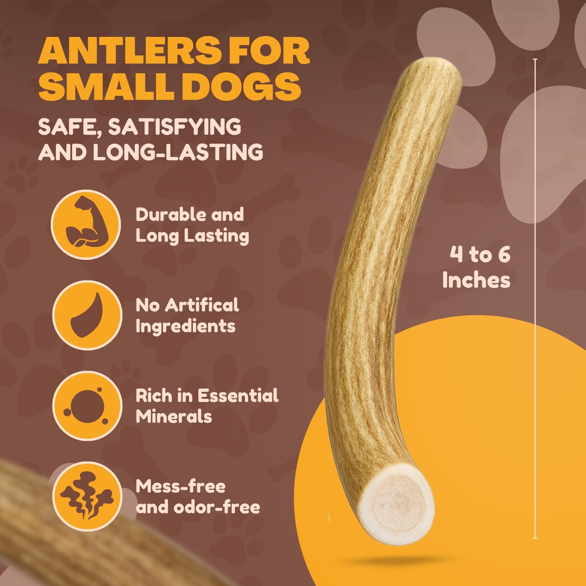 WhiteTail Naturals antlers small dogs 4-6in ideal for teething and boredom relief