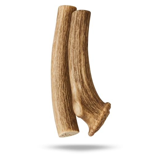 WhiteTail Naturals axis deer antlers 2pack xl closeup texture shows rugged natural surface for chewing.