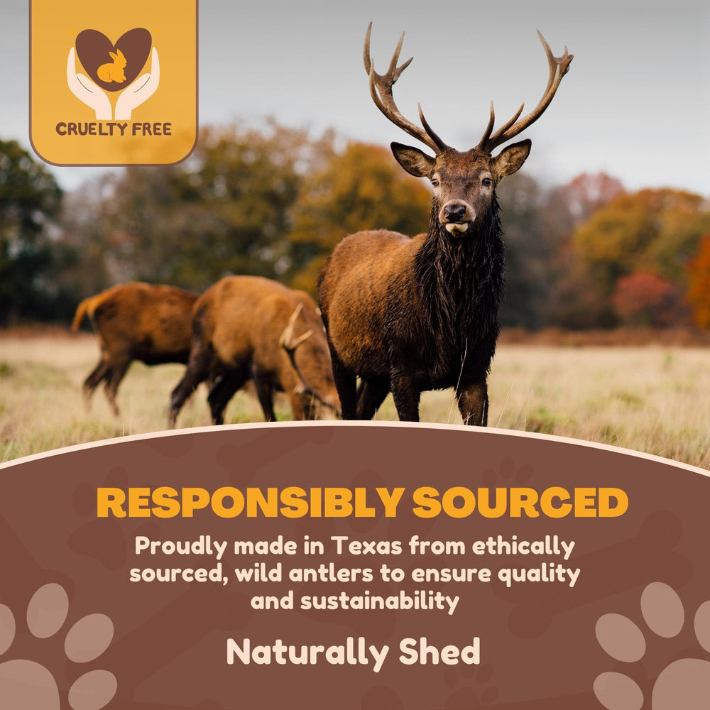 WhiteTail Naturals bulk antler chews, four to five pieces, budget-friendly option for dogs.