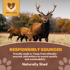 WhiteTail Naturals bulk antler chews, four to five pieces, budget-friendly option for dogs.