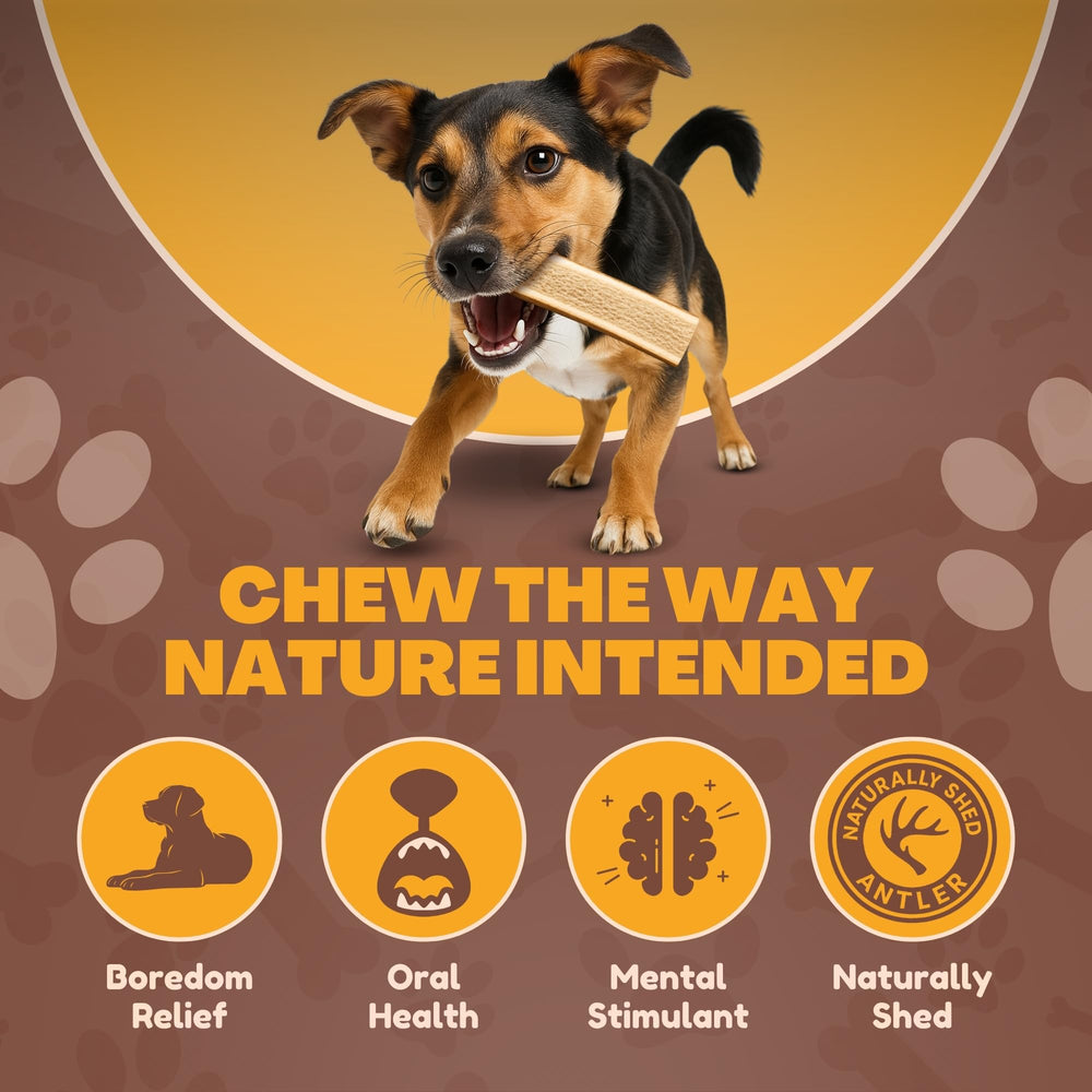 WhiteTail Naturals cruelty-free antler chews—naturally sourced with no additives