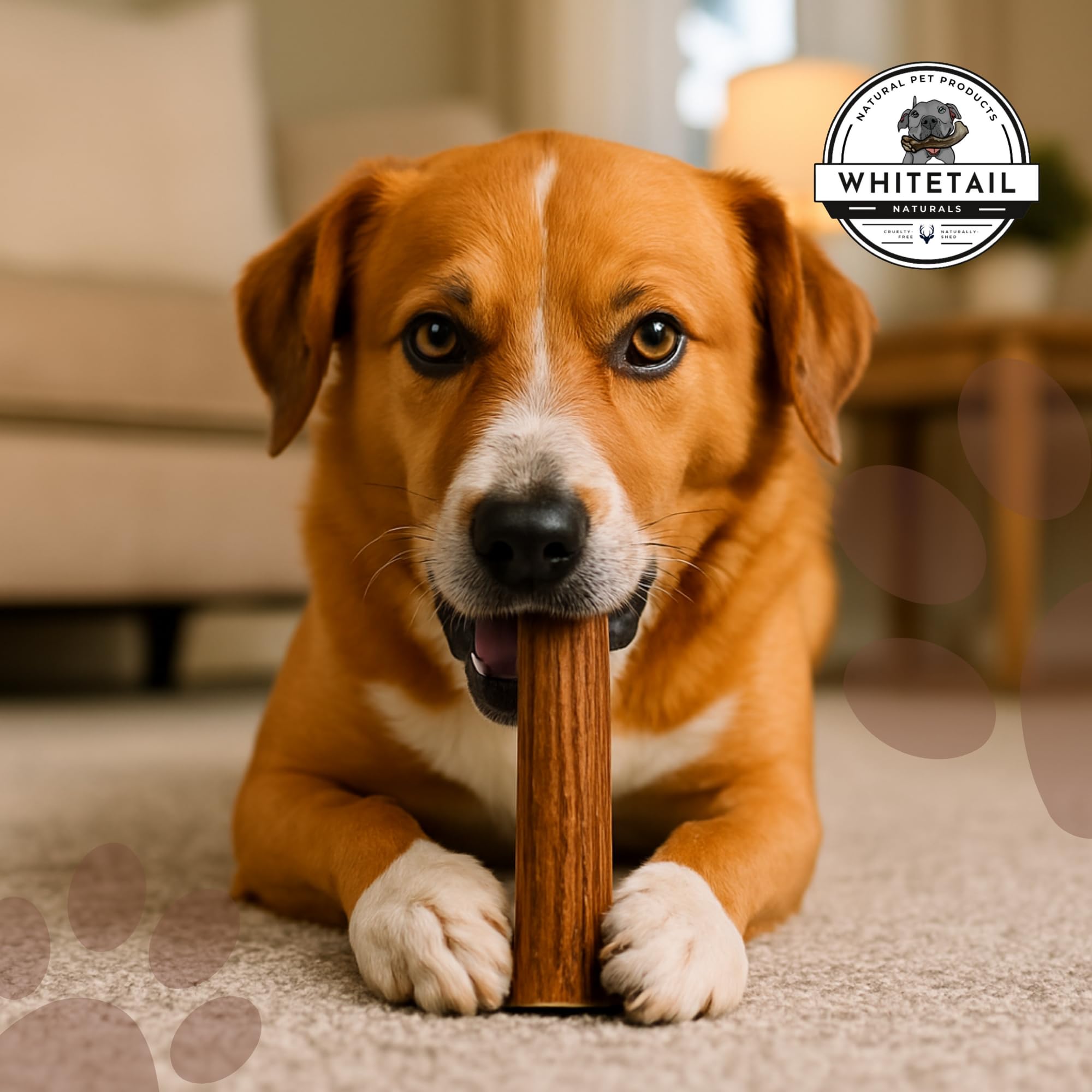 WhiteTail Naturals deer antler chew suited for aggressive chewers.