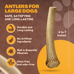 WhiteTail Naturals sun-aged chews, 6–7 inches each, suitable for medium and large dogs.