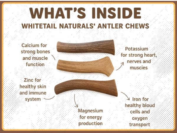 WhiteTail Naturals deer antler for puppies, long-lasting chew for teething and boredom relief.