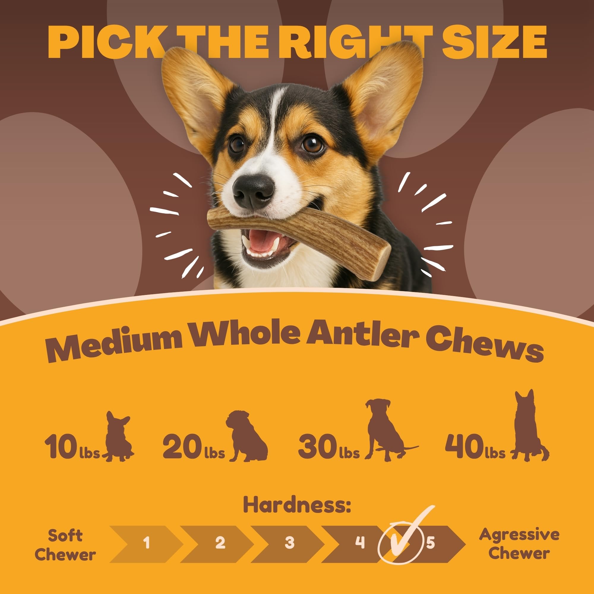 WhiteTail Naturals deer antler dog chews Texas craftsmanship and sustainable sourcing for pets