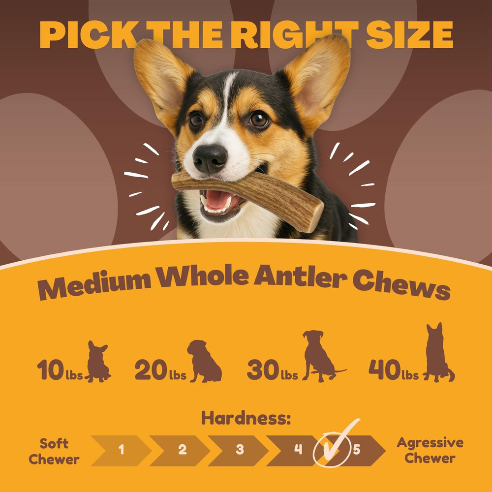WhiteTail Naturals deer antler dog chews Texas craftsmanship and sustainable sourcing for pets