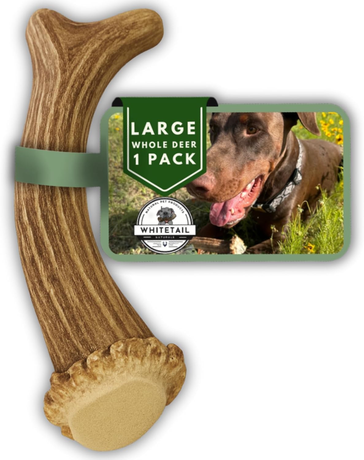 WhiteTail Naturals large deer antler chew for aggressive chewers, long-lasting