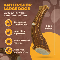 WhiteTail Naturals antler chew, hand-selected in Texas for trusted sourcing