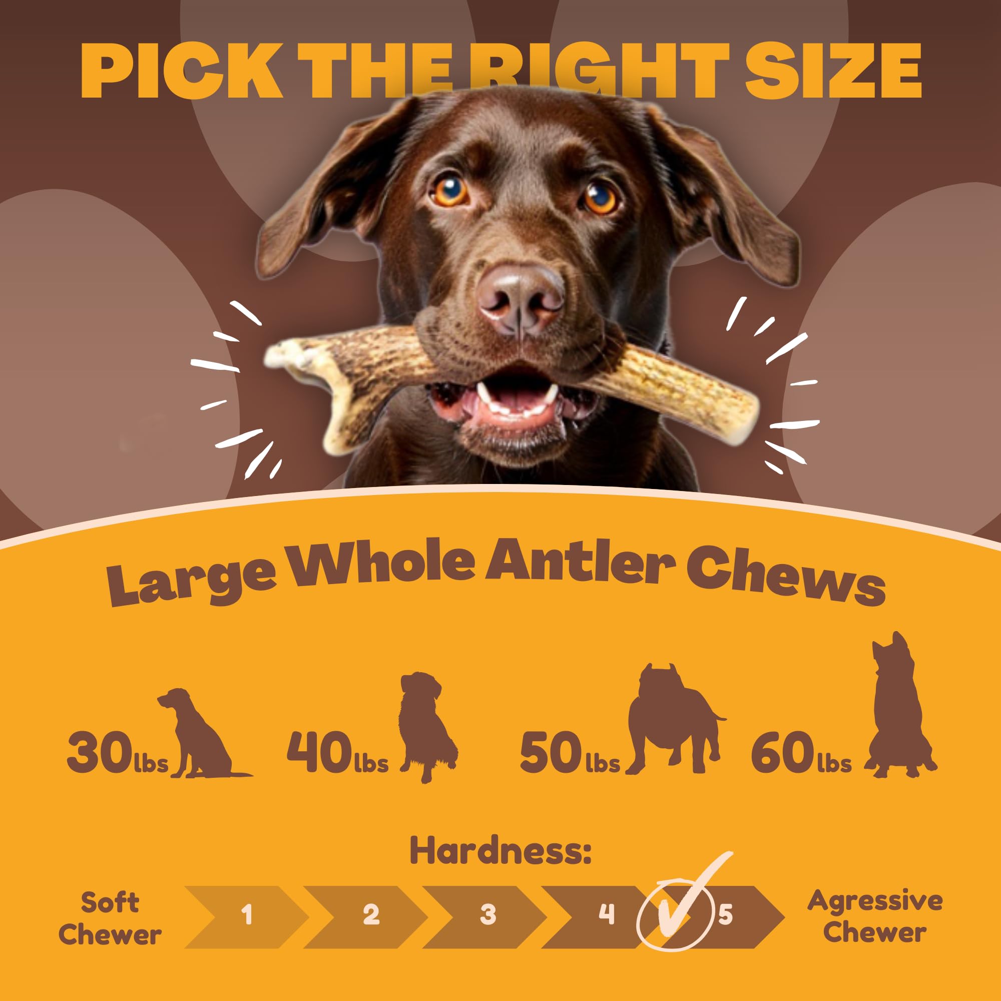 WhiteTail Naturals deer antler chew over 7 inches for large dogs