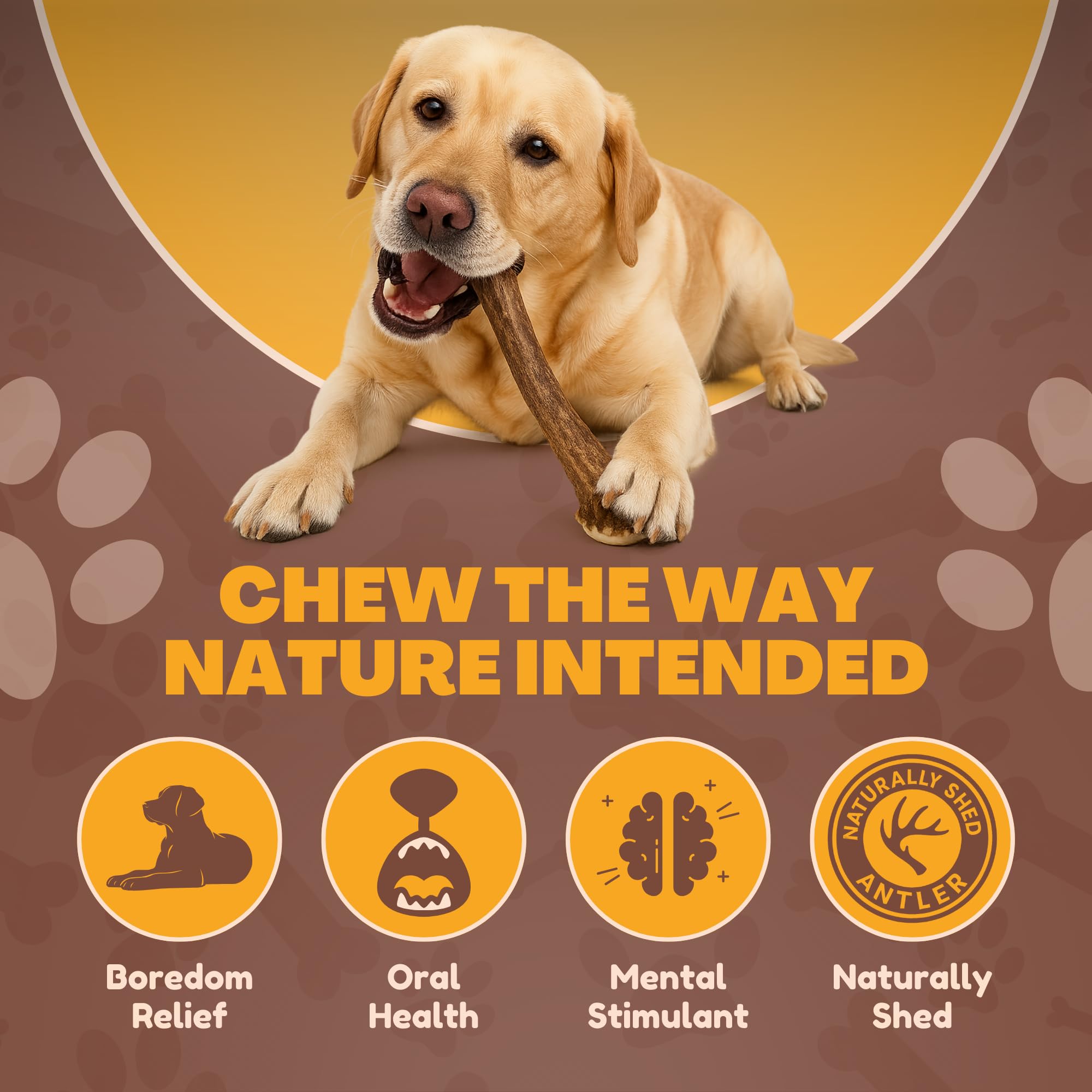 WhiteTail Naturals hand-cut antler chew with trimmed edges for safety