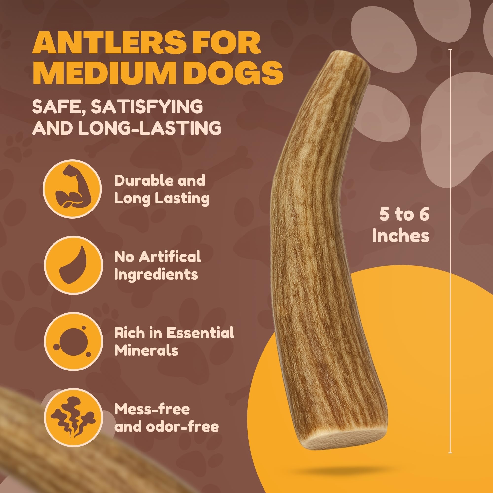 WhiteTail Naturals deer antler preserves oral health urges for small breeds through natural chewing.
