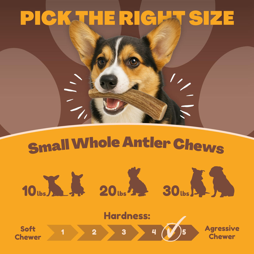 WhiteTail Naturals deer antler odorless chew, pre-trimmed edges reduce injury risk during play.