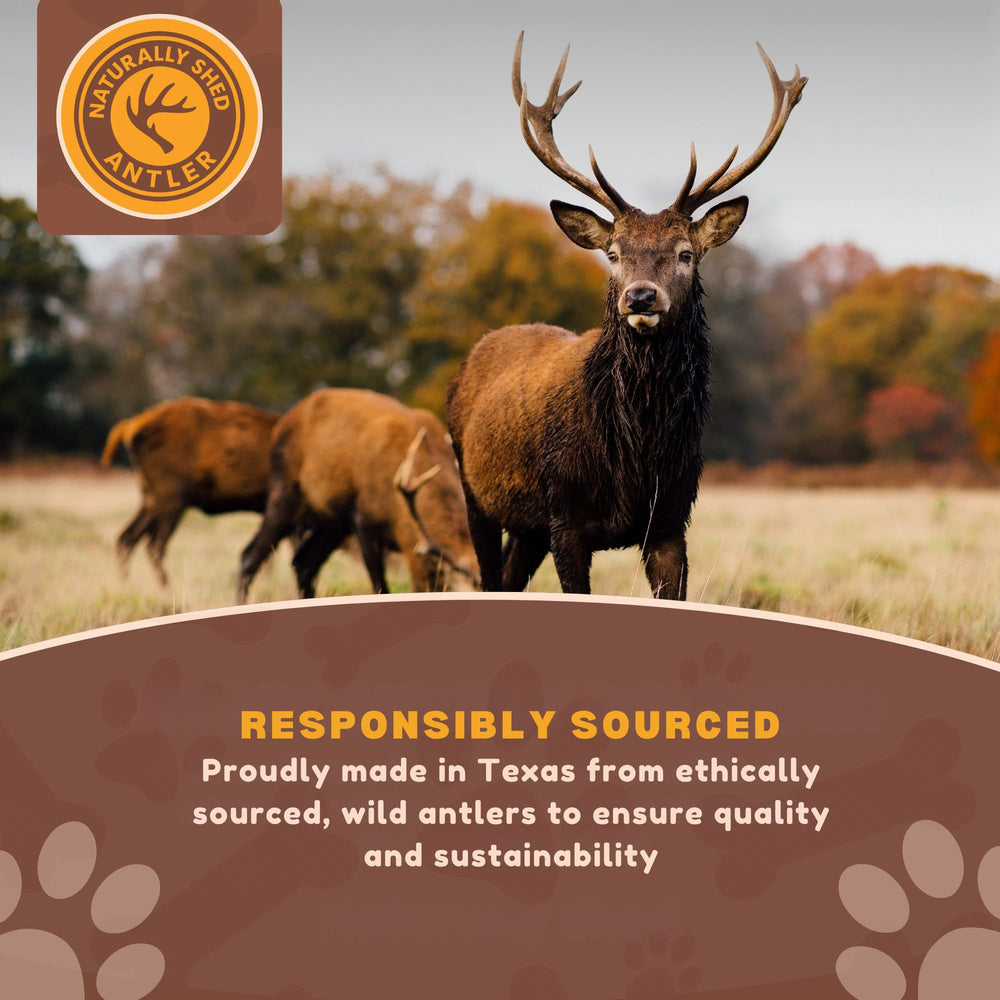 WhiteTail Naturals deer antler texas-sourced single-ingredient chew with natural minerals for daily snacking.