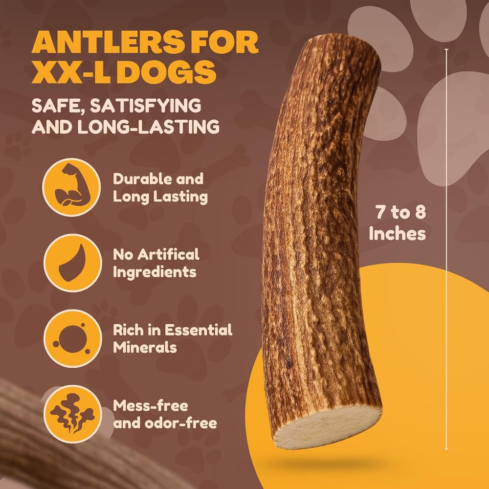 WhiteTail Naturals deer antler texture close-up highlights natural chew surface for satisfying gnawing.