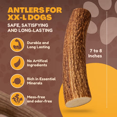 WhiteTail Naturals deer antler texture close-up highlights natural chew surface for satisfying gnawing.