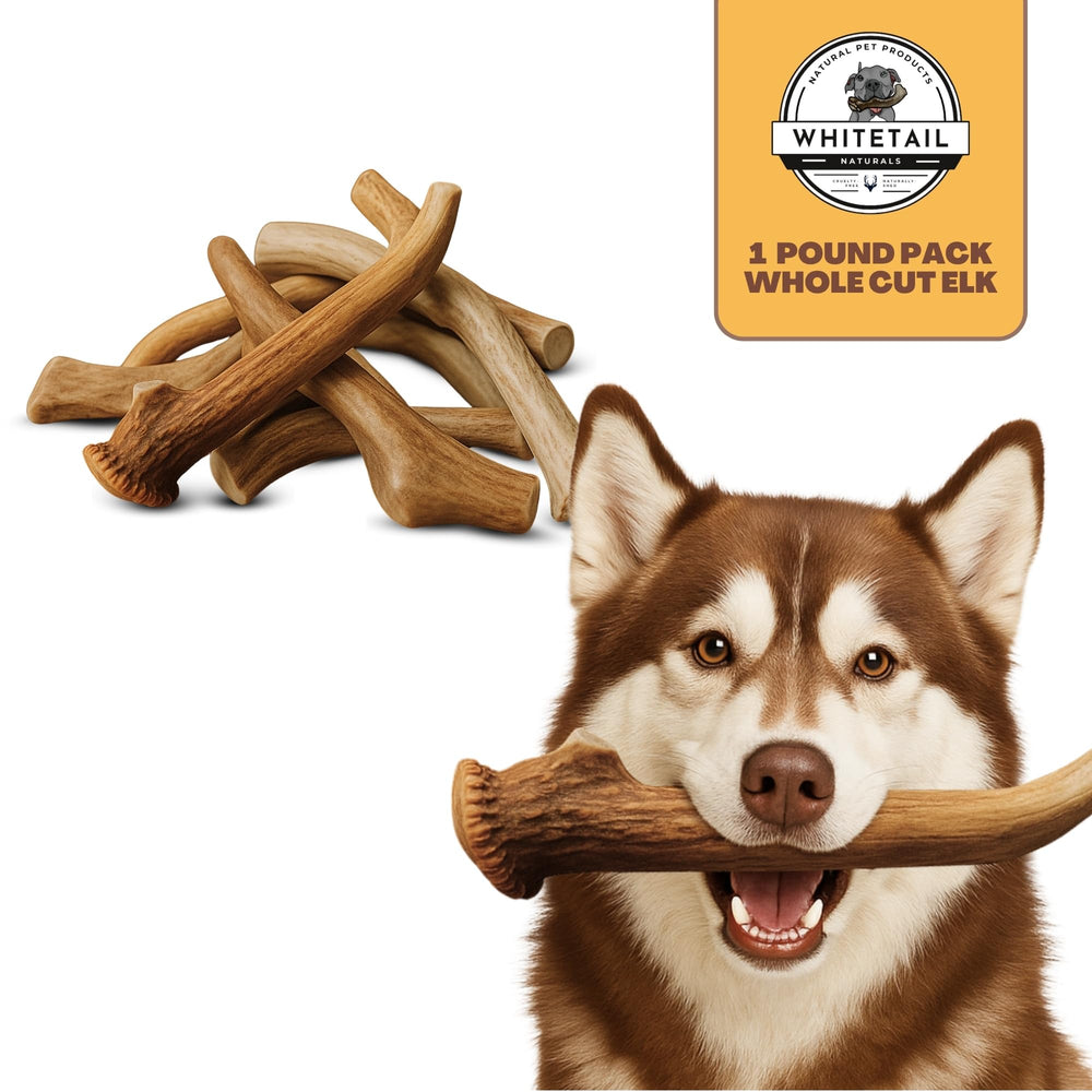 WhiteTail Naturals dental-benefits antler chew highlighting minerals like calcium and phosphorus.