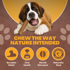 WhiteTail Naturals dog chewing action with jumbo antler demonstrates engagement and long-lasting entertainment.