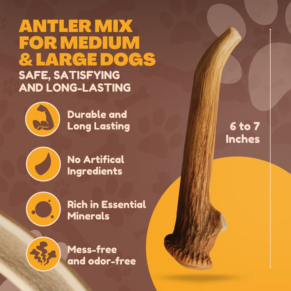 WhiteTail Naturals grade-a naturally shed antlers show ethical sourcing and high-quality chews.