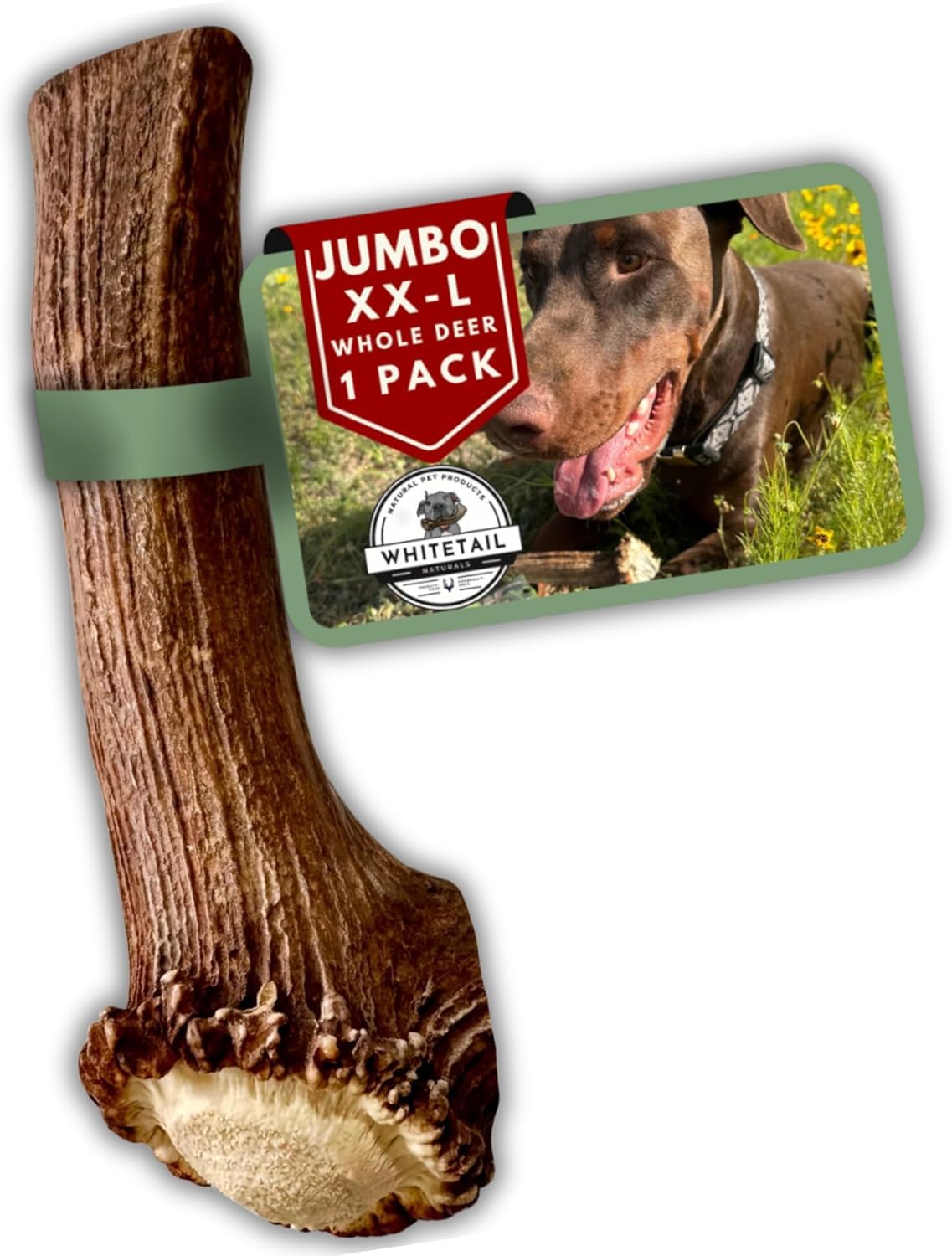 WhiteTail Naturals Jumbo XXL deer antler chew for large dogs, long-lasting chew and enrichment.