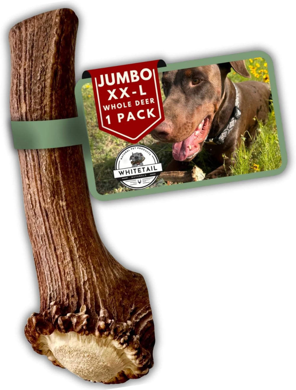 WhiteTail Naturals Jumbo XXL deer antler chew for large dogs, long-lasting chew and enrichment.