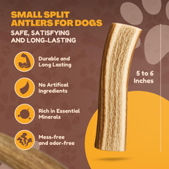 WhiteTail Naturals naturally shed antlers—ethically sourced and sustainable dog chews