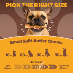 WhiteTail Naturals odorless dog chews for indoor use—mess-free with no lingering smell