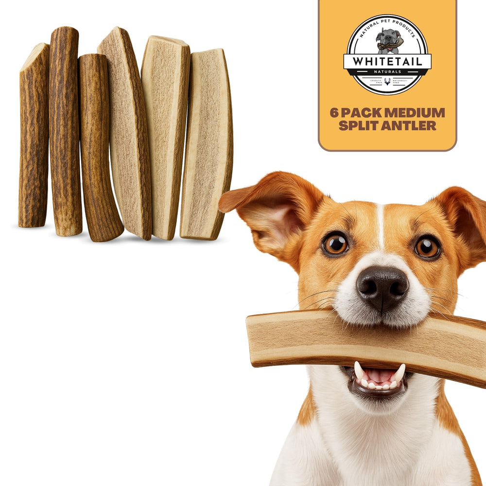 WhiteTail Naturals six chews arranged ready for daily use
