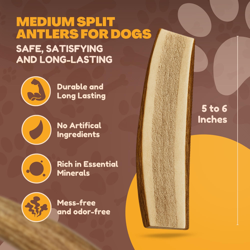 WhiteTail Naturals six-pack antler chews ideal for medium to large dogs