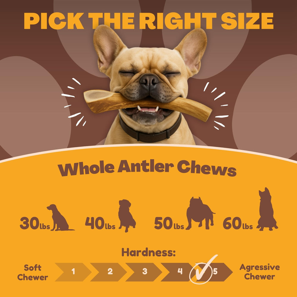 WhiteTail Naturals Texas-crafted antler chew emphasizes craftsmanship and natural texture.