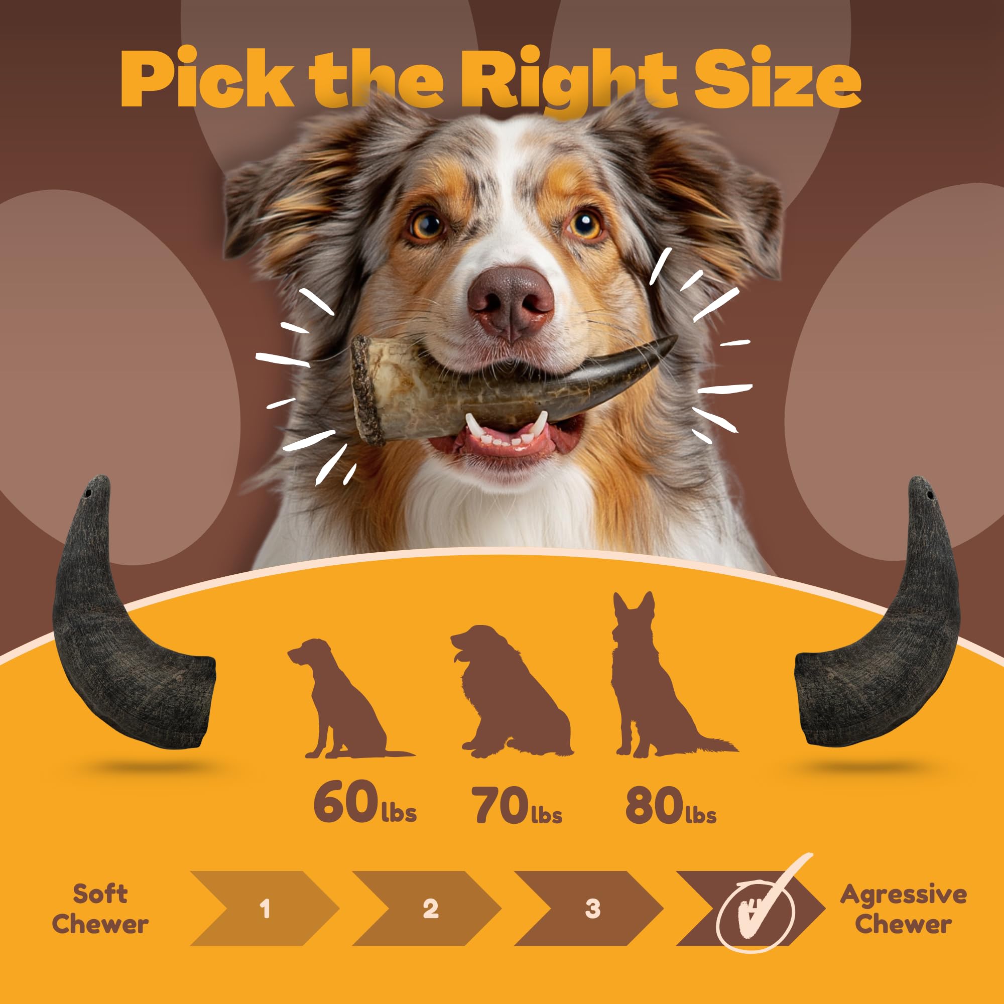 WhiteTail Naturals buffalo horns suitable for all life stages with supervision