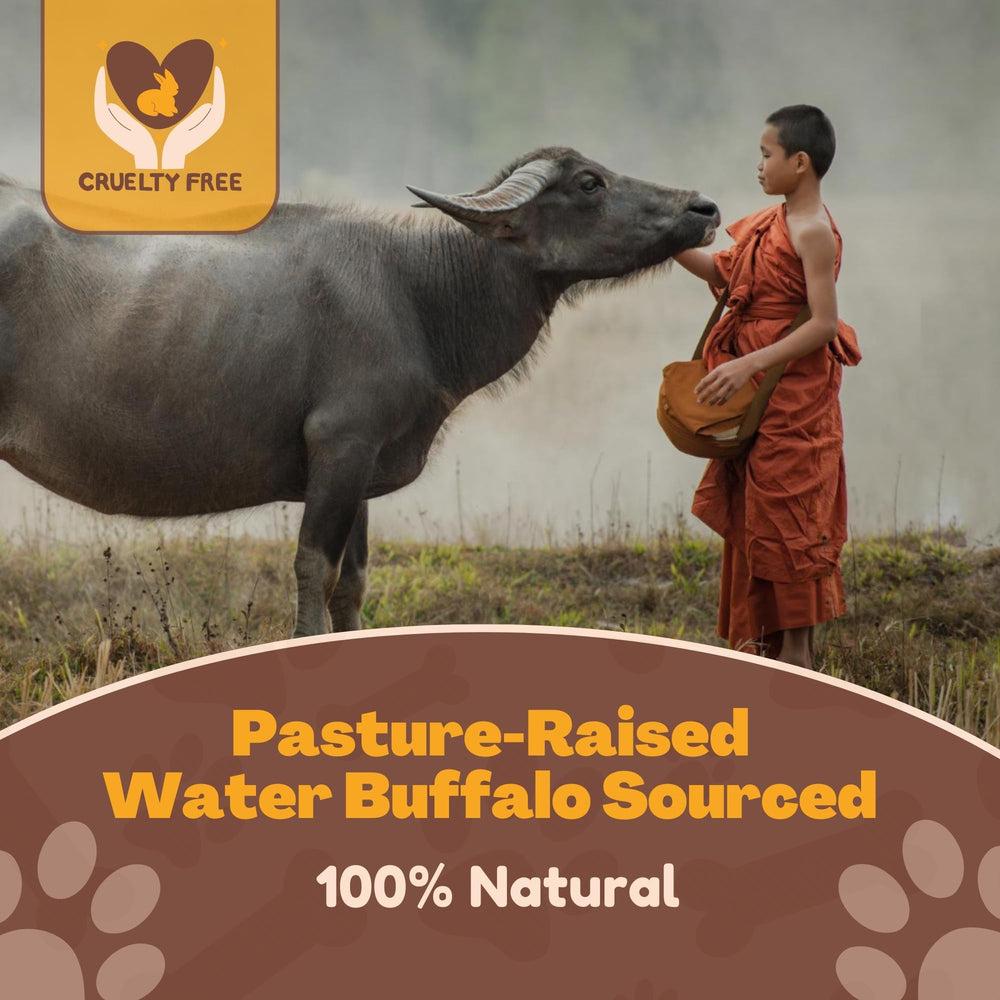 Whitetail Naturals water buffalo horns medium 3-pack raw closeup—durable chew for aggressive chewers