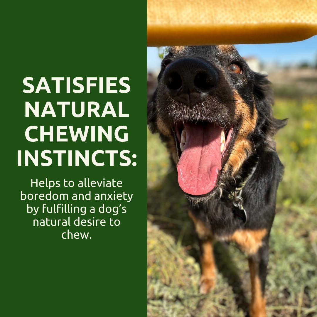 WhiteTail Naturals Yak Cheese Dog Chews; low-odor and indoor-friendly chew for quiet time.