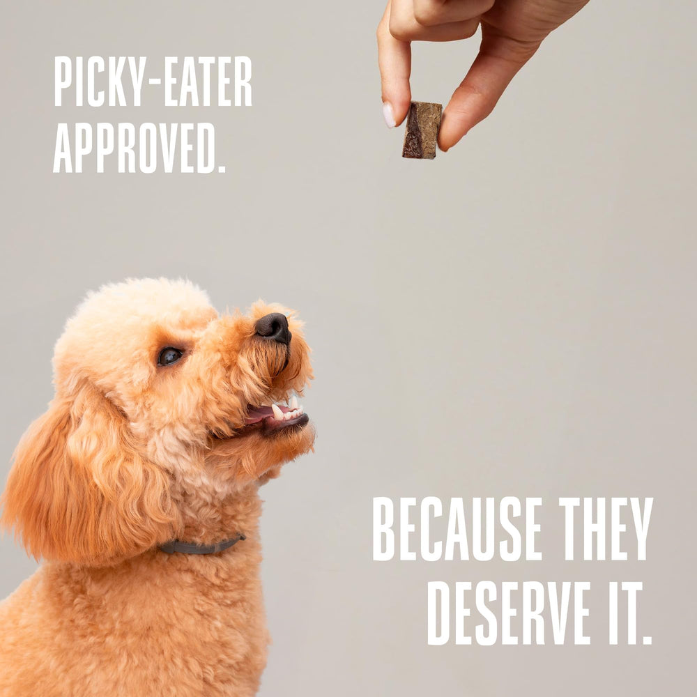 Whole Life Pet Products USA-made liver treat captures quality and freshness in every bite