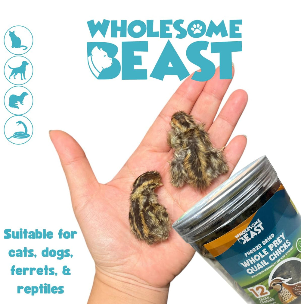 Wholesome Beast quail chick single-ingredient method highlights minimal processing.