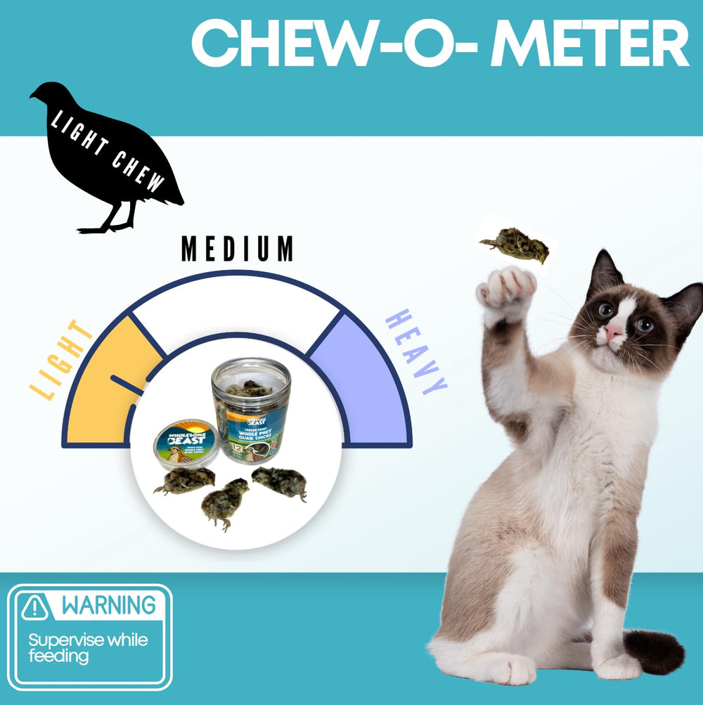 Wholesome Beast quail chick treats are ready-to-serve for puppies and adults.