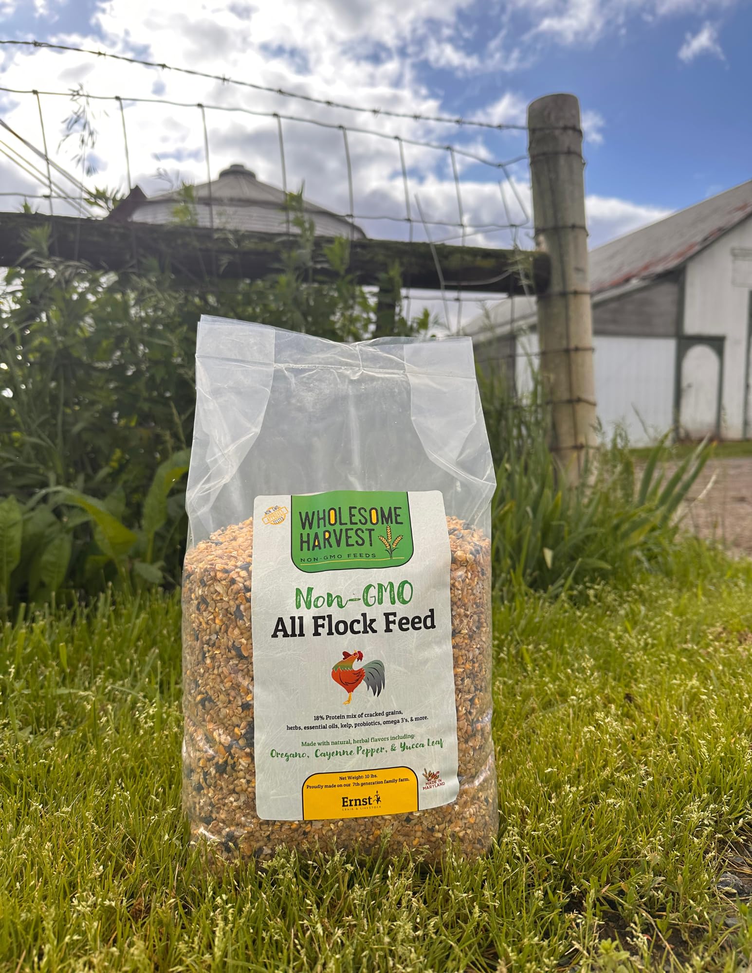 Wholesome Harvest All Flock Feed barn-scene highlights wholesome grain-based nutrition