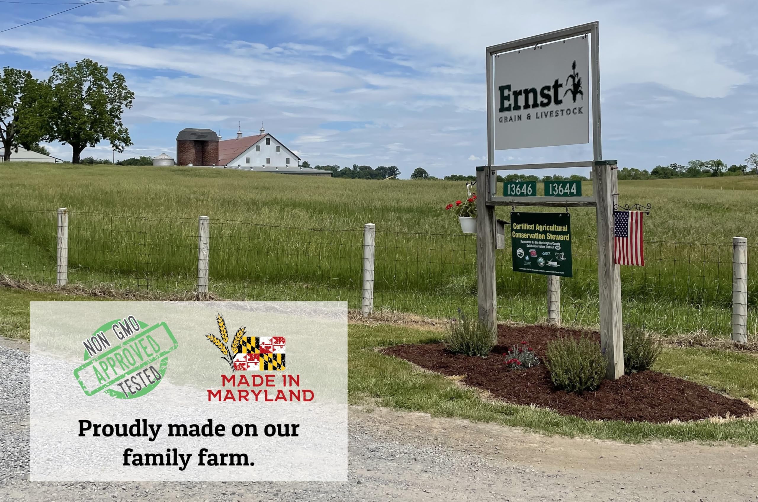 Wholesome Harvest All Flock Feed feeding-station demonstrates easy flock management