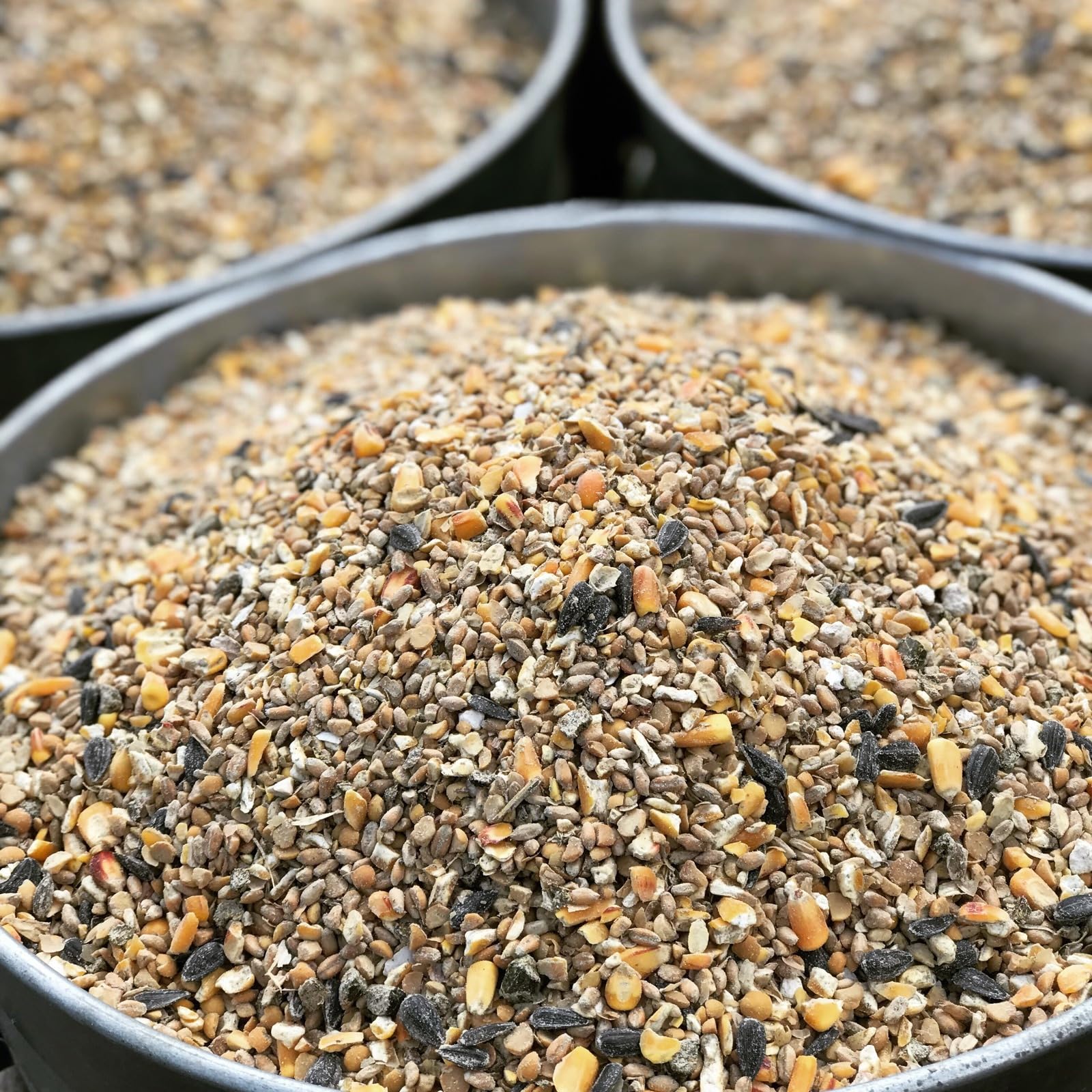 Wholesome Harvest nutrition bowl with layer blend for a balanced poultry diet