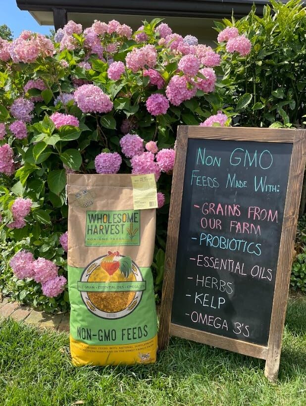 Wholesome Harvest layer blend showcasing omega-3 flax oil for balanced nutrition